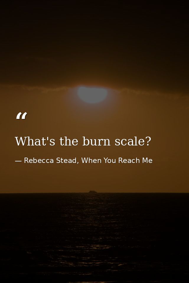 What's the burn scale? — Rebecca Stead, When You Reach Me