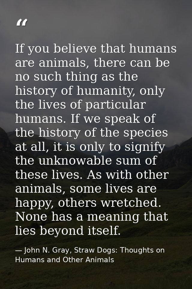 If you believe that humans are animals, there can be no such thing as the history of humanity, only the lives of particu — John N. Gray, Straw Dogs: Thoughts on Humans and Other Animals