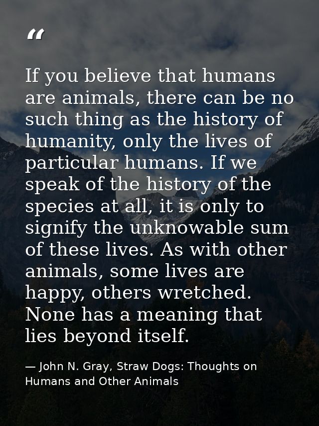 If you believe that humans are animals, there can be no such thing as the history of humanity, only the lives of particu — John N. Gray, Straw Dogs: Thoughts on Humans and Other Animals
