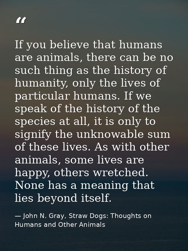 If you believe that humans are animals, there can be no such thing as the history of humanity, only the lives of particu — John N. Gray, Straw Dogs: Thoughts on Humans and Other Animals