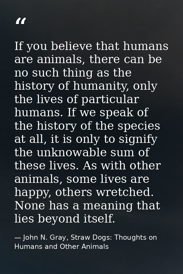 If you believe that humans are animals, there can be no such thing as the history of humanity, only the lives of particu — John N. Gray, Straw Dogs: Thoughts on Humans and Other Animals