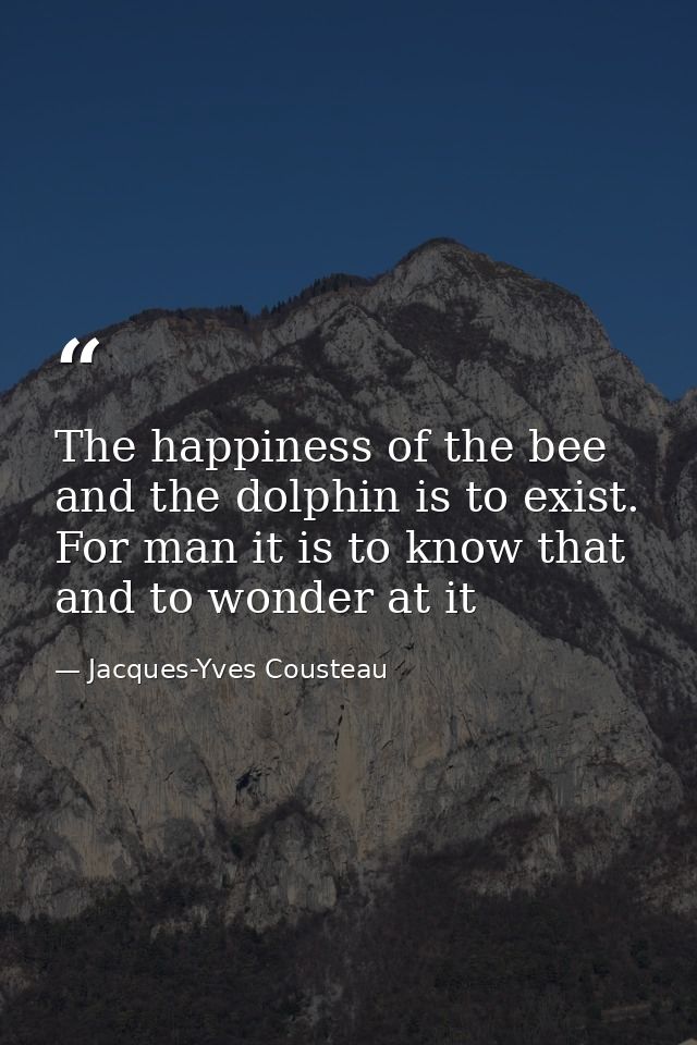 The happiness of the bee and the dolphin is to exist. For man it is to know that and to wonder at it — Jacques-Yves Cousteau
