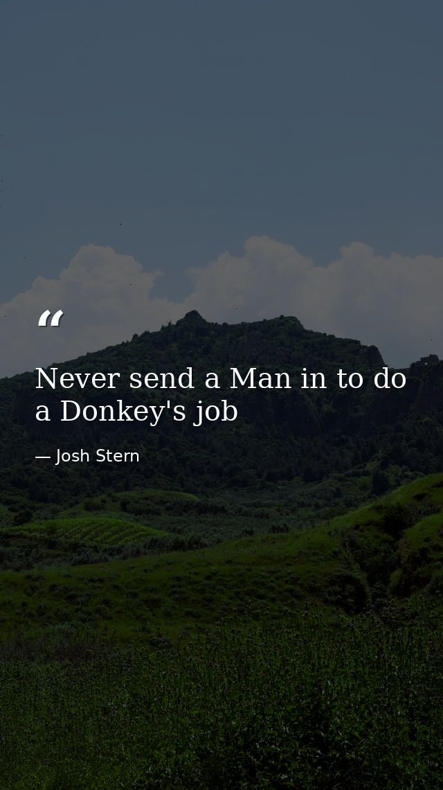 Never send a Man in to do a Donkey's job — Josh Stern