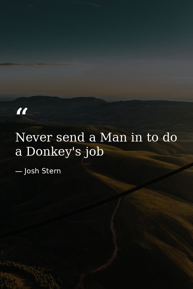 Never send a Man in to do a Donkey's job — Josh Stern