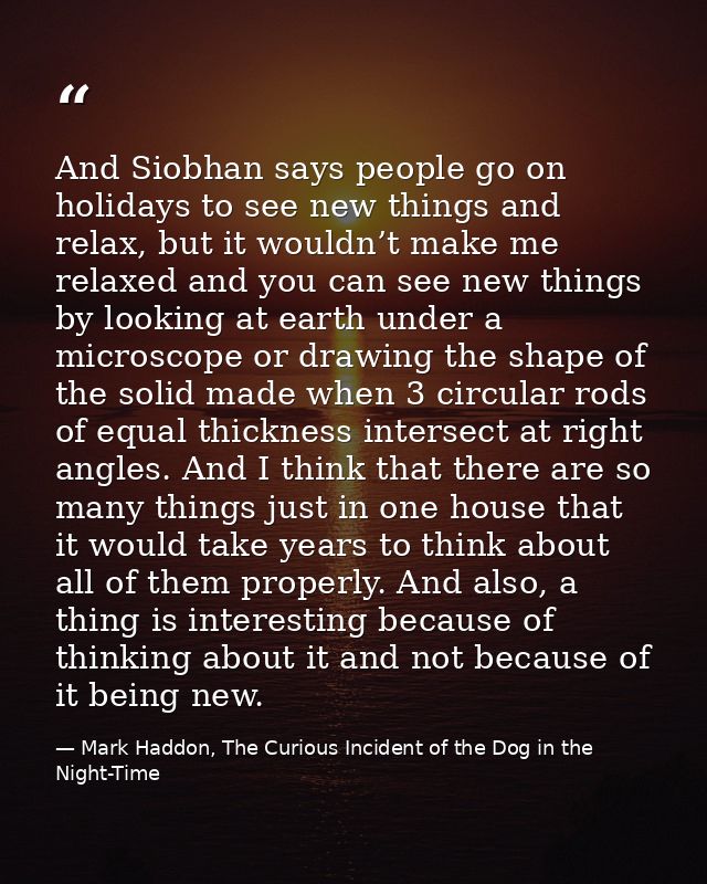 And Siobhan says people go on holidays to see new things and relax, but it wouldn’t make me relaxed and you can see new  — Mark Haddon, The Curious Incident of the Dog in the Night-Time
