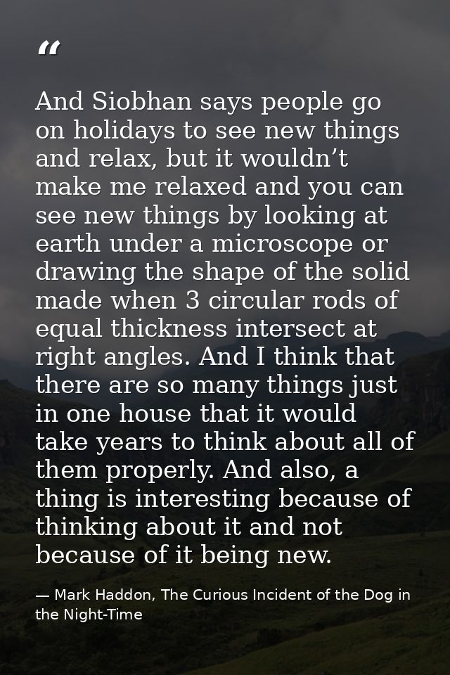 And Siobhan says people go on holidays to see new things and relax, but it wouldn’t make me relaxed and you can see new  — Mark Haddon, The Curious Incident of the Dog in the Night-Time