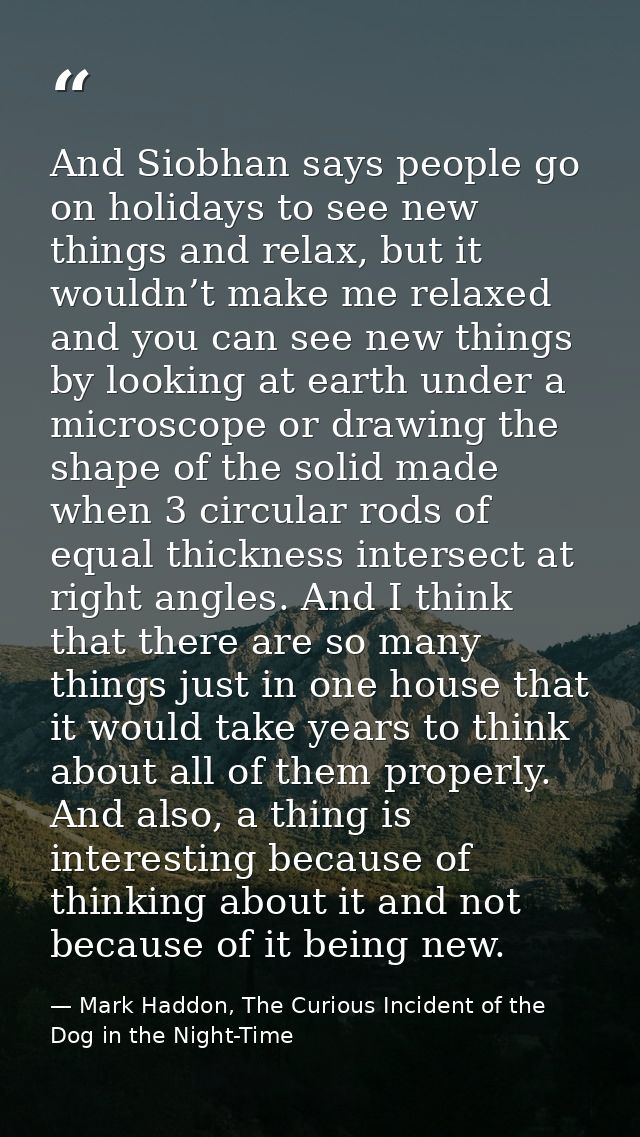 And Siobhan says people go on holidays to see new things and relax, but it wouldn’t make me relaxed and you can see new  — Mark Haddon, The Curious Incident of the Dog in the Night-Time