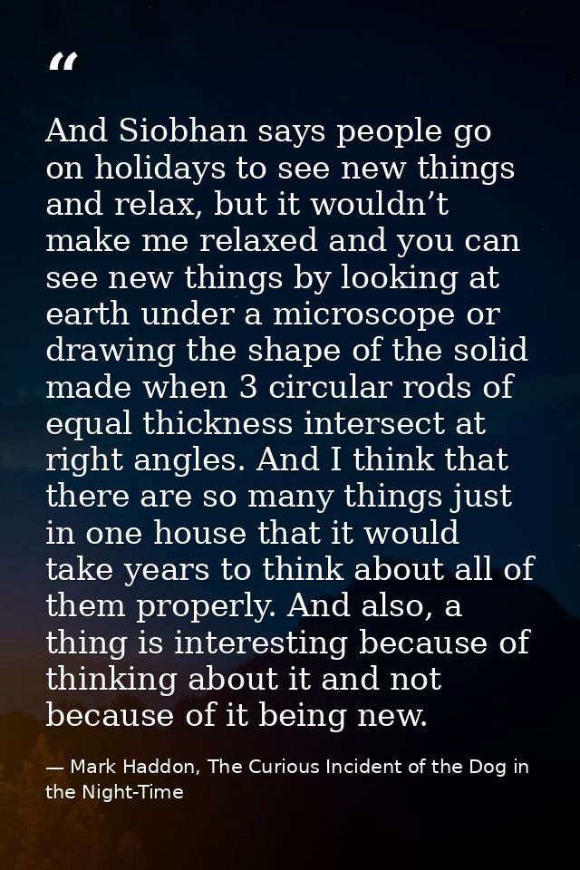 And Siobhan says people go on holidays to see new things and relax, but it wouldn’t make me relaxed and you can see new  — Mark Haddon, The Curious Incident of the Dog in the Night-Time