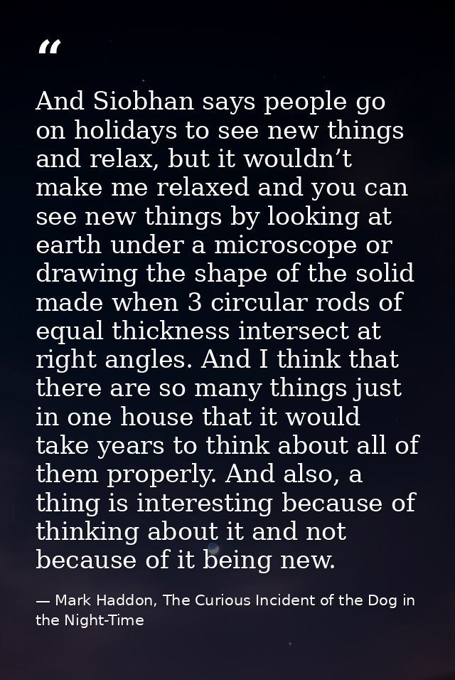 And Siobhan says people go on holidays to see new things and relax, but it wouldn’t make me relaxed and you can see new  — Mark Haddon, The Curious Incident of the Dog in the Night-Time