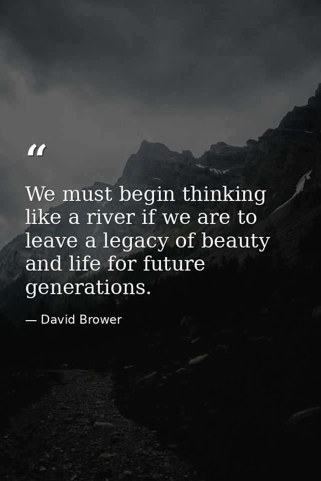 We must begin thinking like a river if we are to leave a legacy of beauty and life for future generations. — David Brower