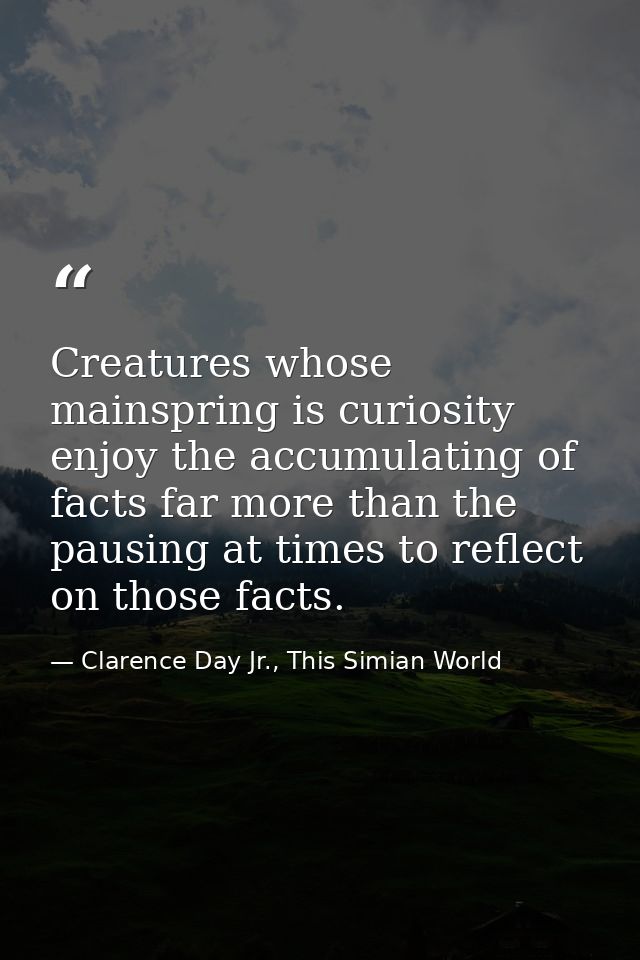 Creatures whose mainspring is curiosity enjoy the accumulating of facts far more than the pausing at times to reflect on — Clarence Day Jr., This Simian World