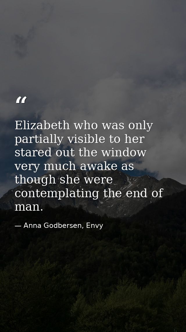 Elizabeth who was only partially visible to her stared out the window very much awake as though she were contemplating t — Anna Godbersen, Envy