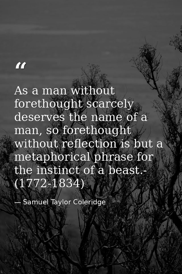 As a man without forethought scarcely deserves the name of a man, so forethought without reflection is but a metaphorica — Samuel Taylor Coleridge