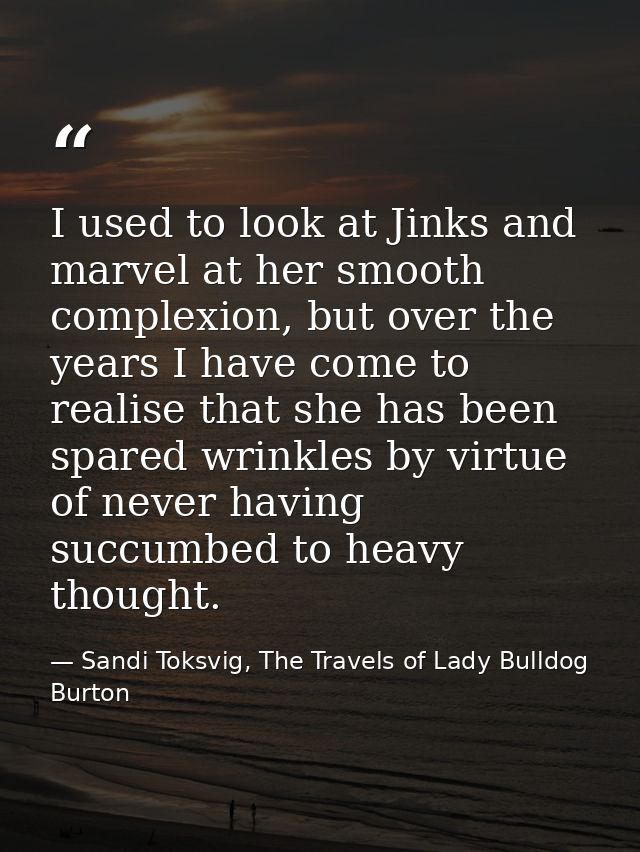 I used to look at Jinks and marvel at her smooth complexion, but over the years I have come to realise that she has been — Sandi Toksvig, The Travels of Lady Bulldog Burton