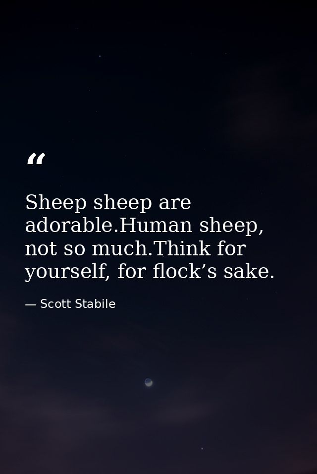 Sheep sheep are adorable.Human sheep, not so much.Think for yourself, for flock’s sake. — Scott Stabile