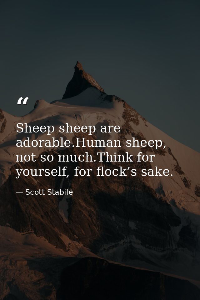 Sheep sheep are adorable.Human sheep, not so much.Think for yourself, for flock’s sake. — Scott Stabile