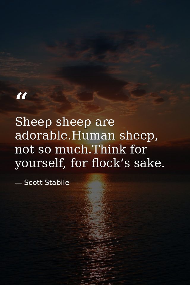 Sheep sheep are adorable.Human sheep, not so much.Think for yourself, for flock’s sake. — Scott Stabile