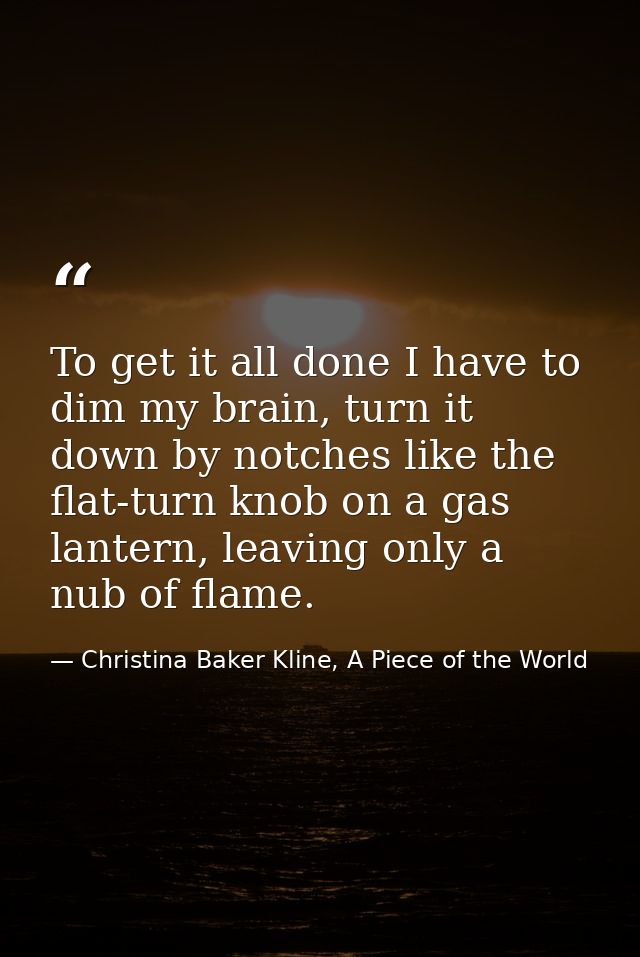 To get it all done I have to dim my brain, turn it down by notches like the flat-turn knob on a gas lantern, leaving onl — Christina Baker Kline, A Piece of the World