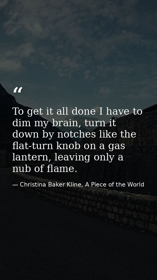 To get it all done I have to dim my brain, turn it down by notches like the flat-turn knob on a gas lantern, leaving onl — Christina Baker Kline, A Piece of the World