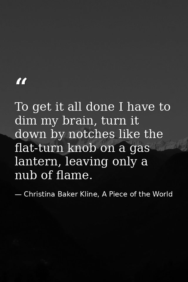 To get it all done I have to dim my brain, turn it down by notches like the flat-turn knob on a gas lantern, leaving onl — Christina Baker Kline, A Piece of the World