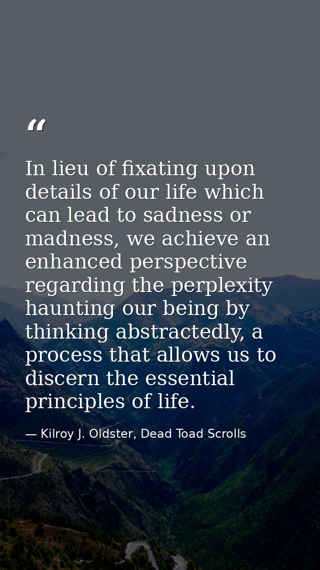 In lieu of fixating upon details of our life which can lead to sadness or madness, we achieve an enhanced perspective re — Kilroy J. Oldster, Dead Toad Scrolls