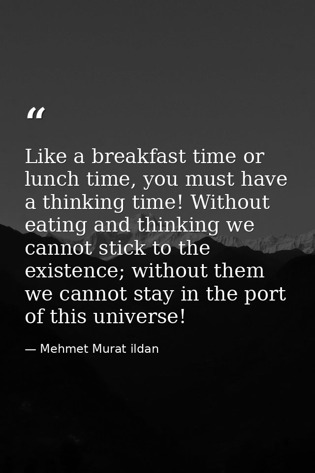 Like a breakfast time or lunch time, you must have a thinking time! Without eating and thinking we cannot stick to the e — Mehmet Murat ildan