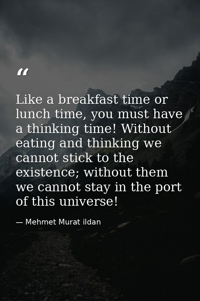 Like a breakfast time or lunch time, you must have a thinking time! Without eating and thinking we cannot stick to the e — Mehmet Murat ildan