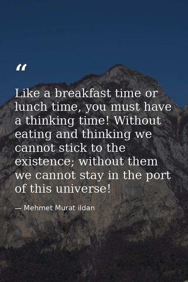 Like a breakfast time or lunch time, you must have a thinking time! Without eating and thinking we cannot stick to the e — Mehmet Murat ildan