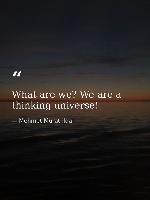 What are we? We are a thinking universe! — Mehmet Murat ildan