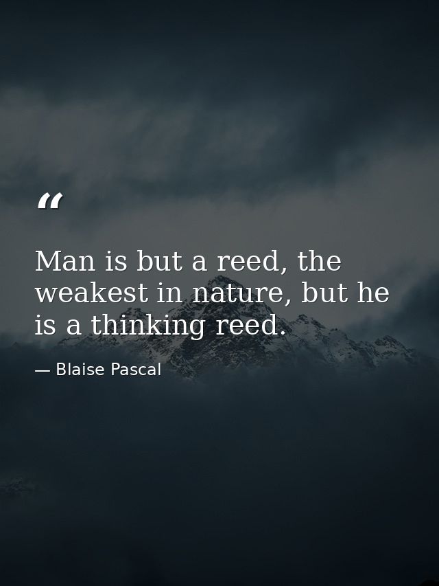 Man is but a reed, the weakest in nature, but he is a thinking reed. — Blaise Pascal