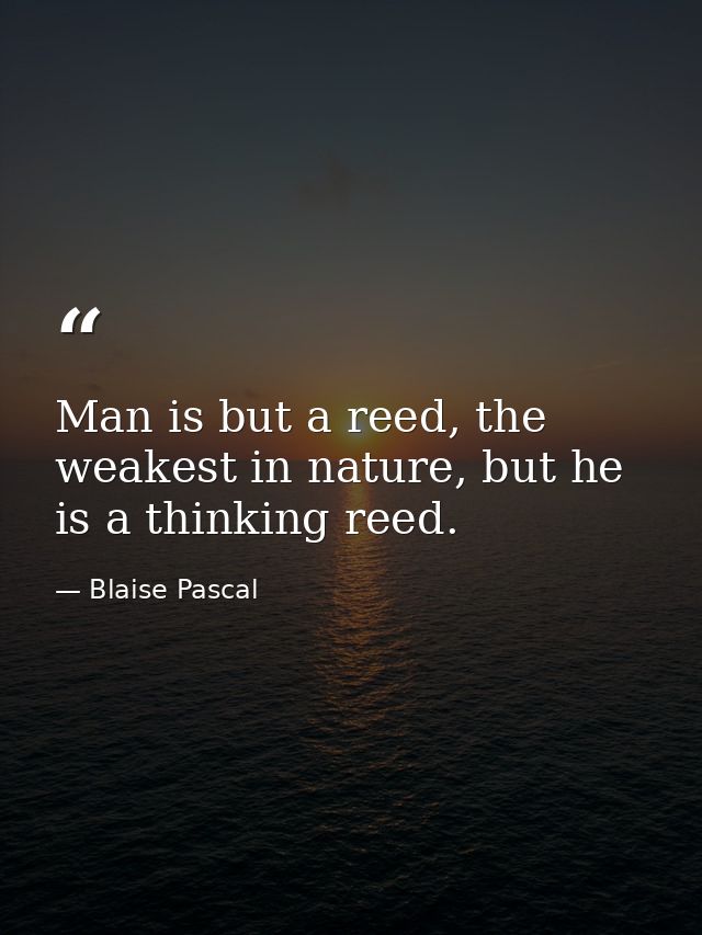 Man is but a reed, the weakest in nature, but he is a thinking reed. — Blaise Pascal