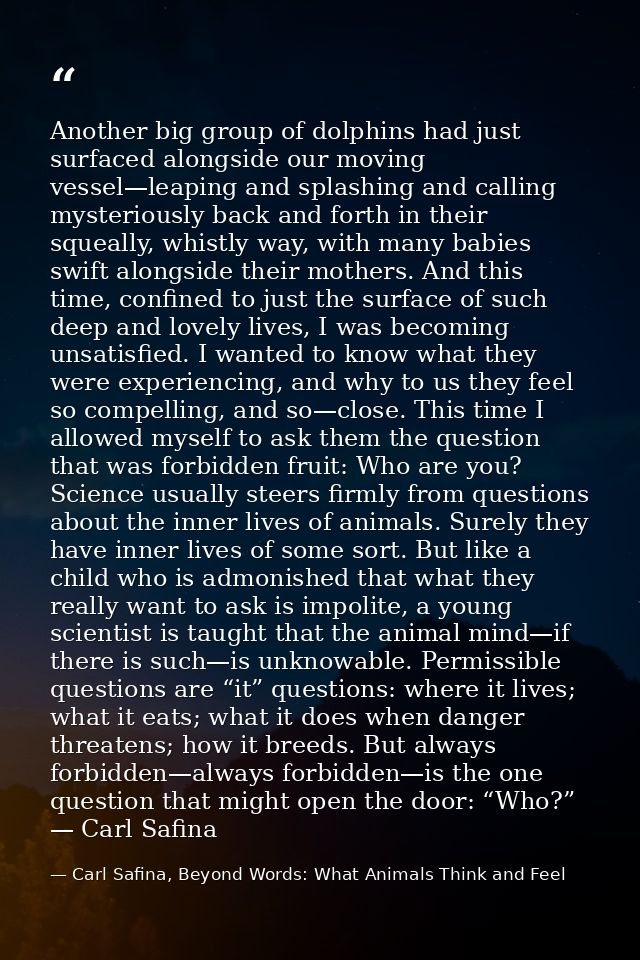 Another big group of dolphins had just surfaced alongside our moving vessel—leaping and splashing and calling mysterious — Carl Safina, Beyond Words: What Animals Think and Feel