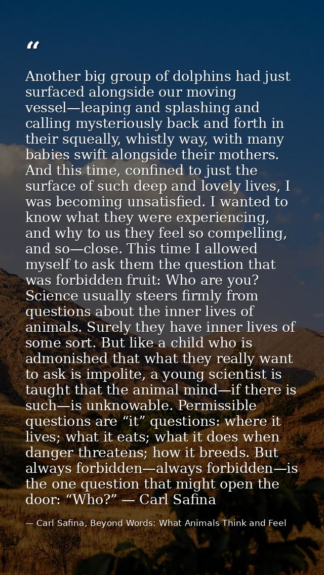 Another big group of dolphins had just surfaced alongside our moving vessel—leaping and splashing and calling mysterious — Carl Safina, Beyond Words: What Animals Think and Feel
