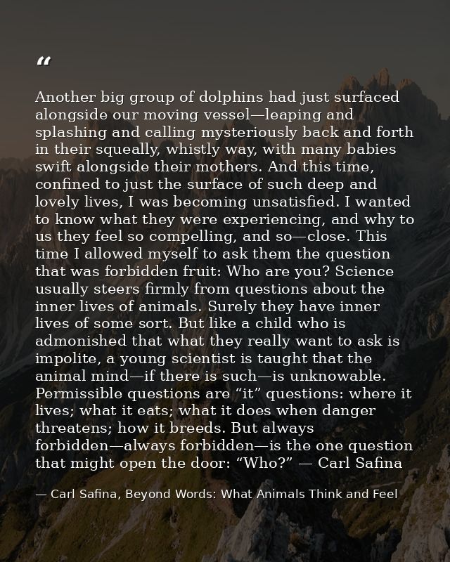 Another big group of dolphins had just surfaced alongside our moving vessel—leaping and splashing and calling mysterious — Carl Safina, Beyond Words: What Animals Think and Feel
