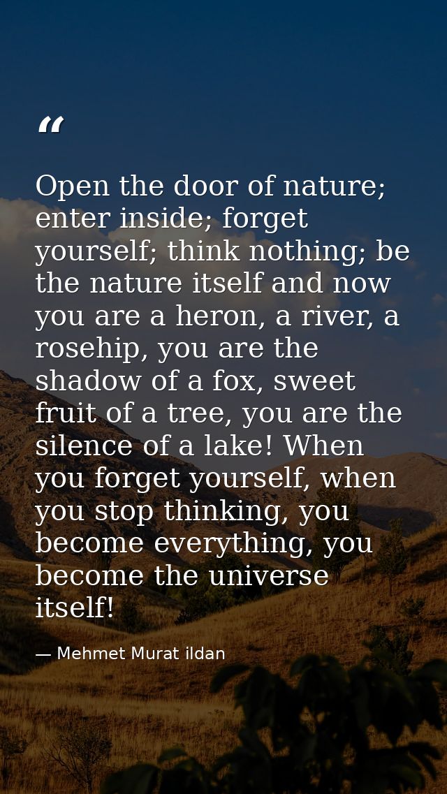 Open the door of nature; enter inside; forget yourself; think nothing; be the nature itself and now you are a heron, a r — Mehmet Murat ildan