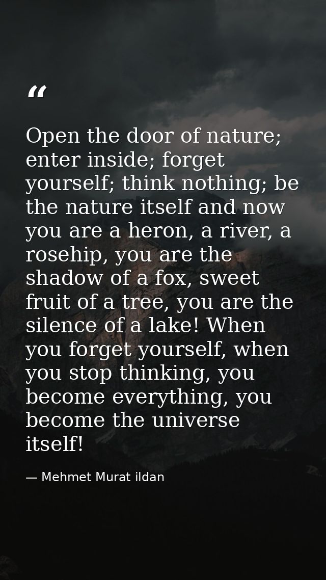 Open the door of nature; enter inside; forget yourself; think nothing; be the nature itself and now you are a heron, a r — Mehmet Murat ildan