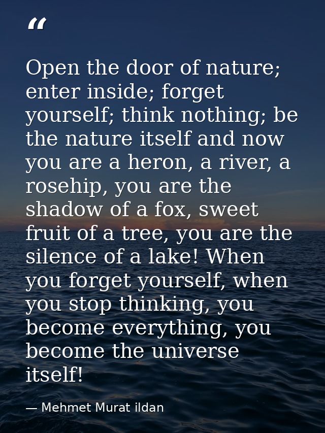 Open the door of nature; enter inside; forget yourself; think nothing; be the nature itself and now you are a heron, a r — Mehmet Murat ildan