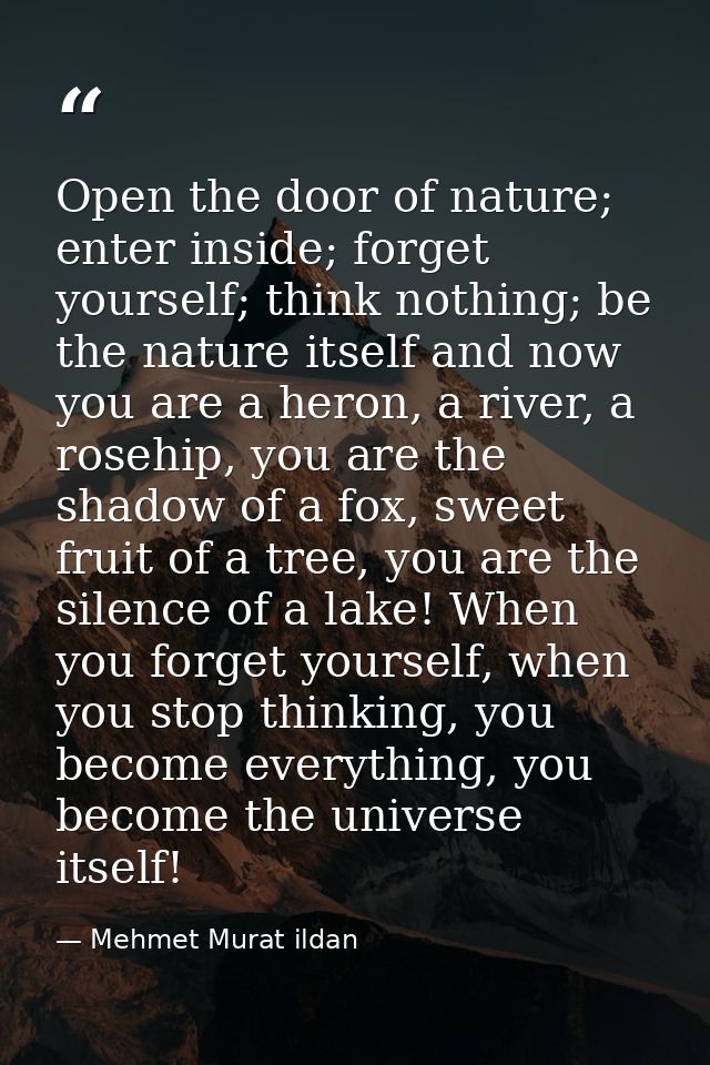 Open the door of nature; enter inside; forget yourself; think nothing; be the nature itself and now you are a heron, a r — Mehmet Murat ildan