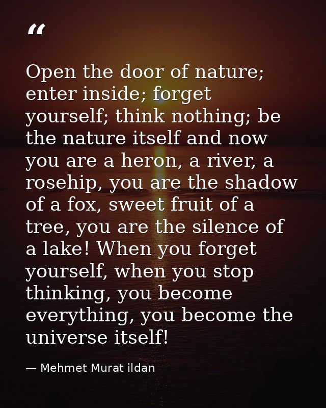 Open the door of nature; enter inside; forget yourself; think nothing; be the nature itself and now you are a heron, a r — Mehmet Murat ildan