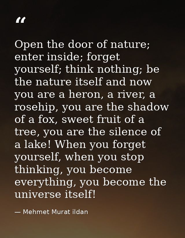 Open the door of nature; enter inside; forget yourself; think nothing; be the nature itself and now you are a heron, a r — Mehmet Murat ildan