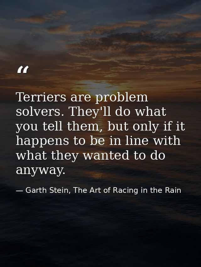 Terriers are problem solvers. They'll do what you tell them, but only if it happens to be in line with what they wanted  — Garth Stein, The Art of Racing in the Rain