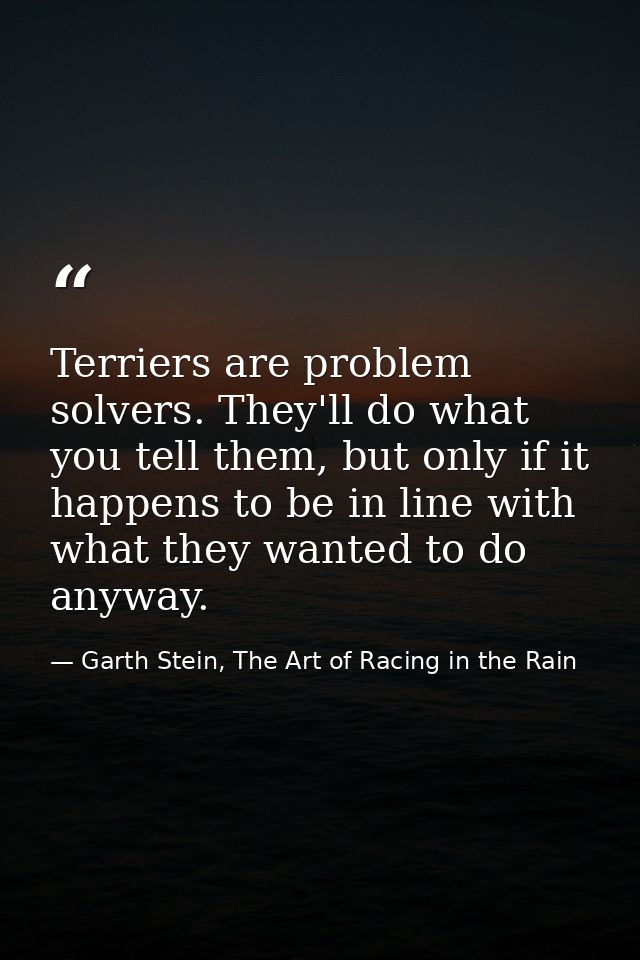 Terriers are problem solvers. They'll do what you tell them, but only if it happens to be in line with what they wanted  — Garth Stein, The Art of Racing in the Rain