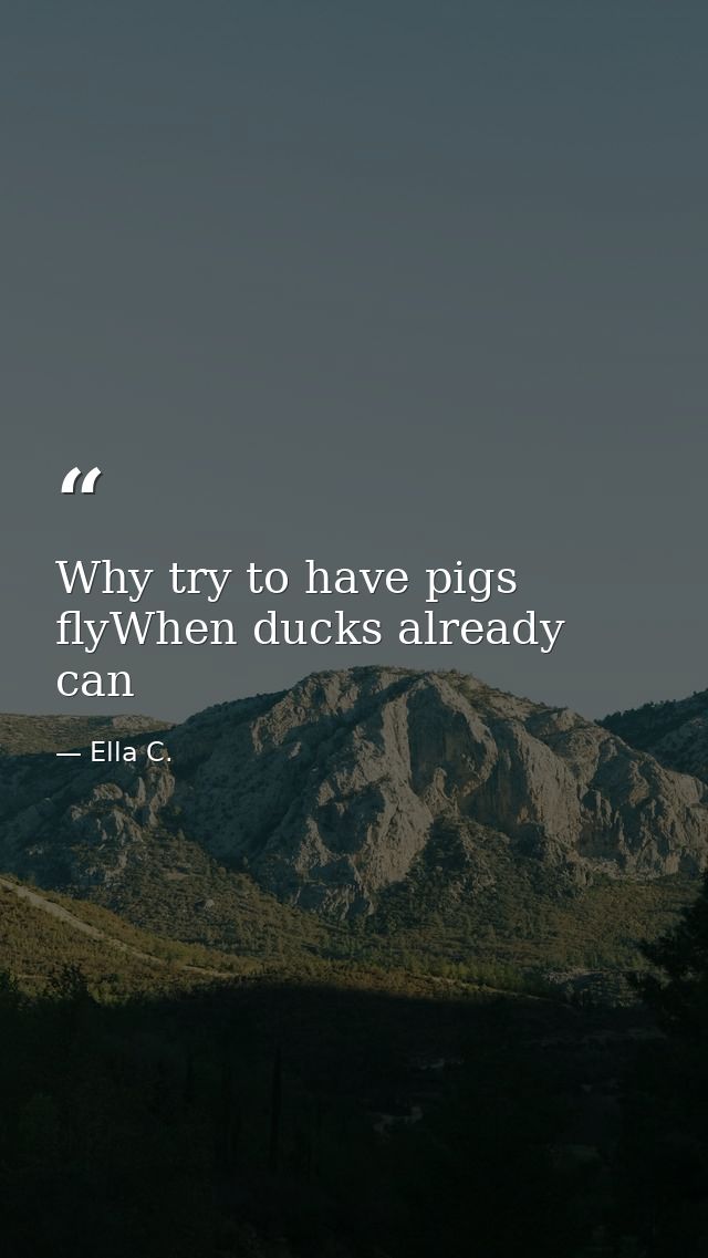 Why try to have pigs flyWhen ducks already can — Ella C.