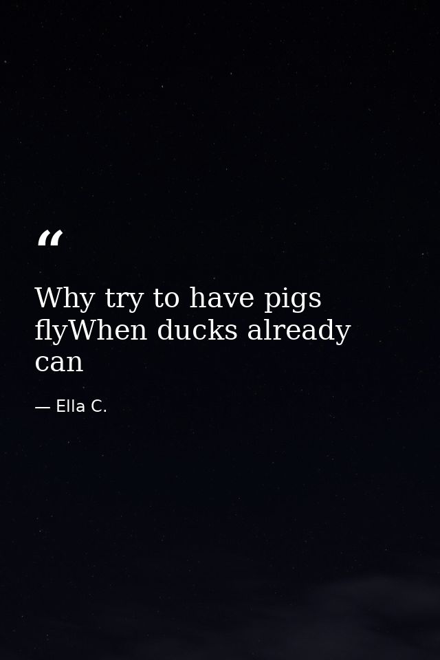 Why try to have pigs flyWhen ducks already can — Ella C.