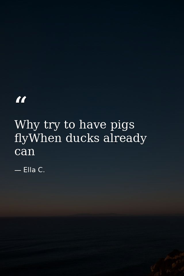 Why try to have pigs flyWhen ducks already can — Ella C.