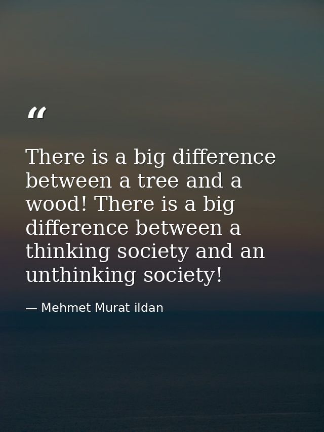 There is a big difference between a tree and a wood! There is a big difference between a thinking society and an unthink — Mehmet Murat ildan