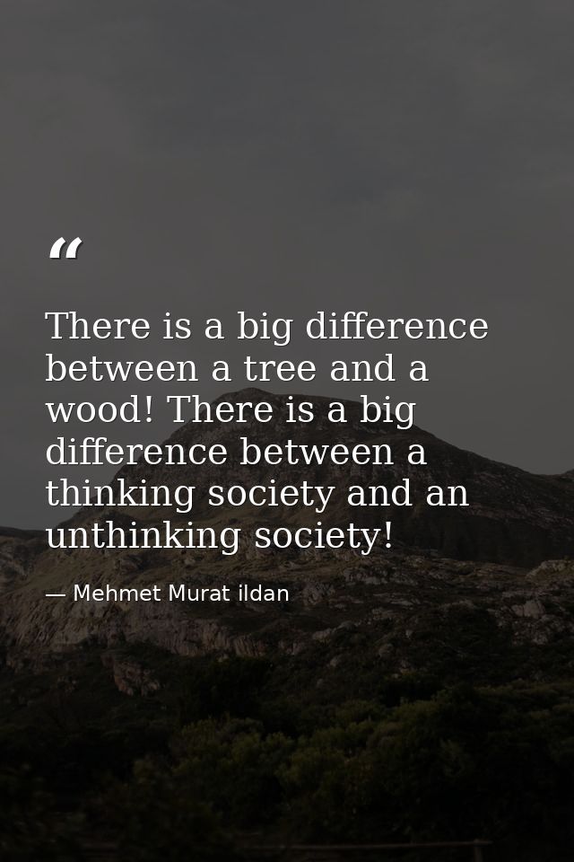 There is a big difference between a tree and a wood! There is a big difference between a thinking society and an unthink — Mehmet Murat ildan