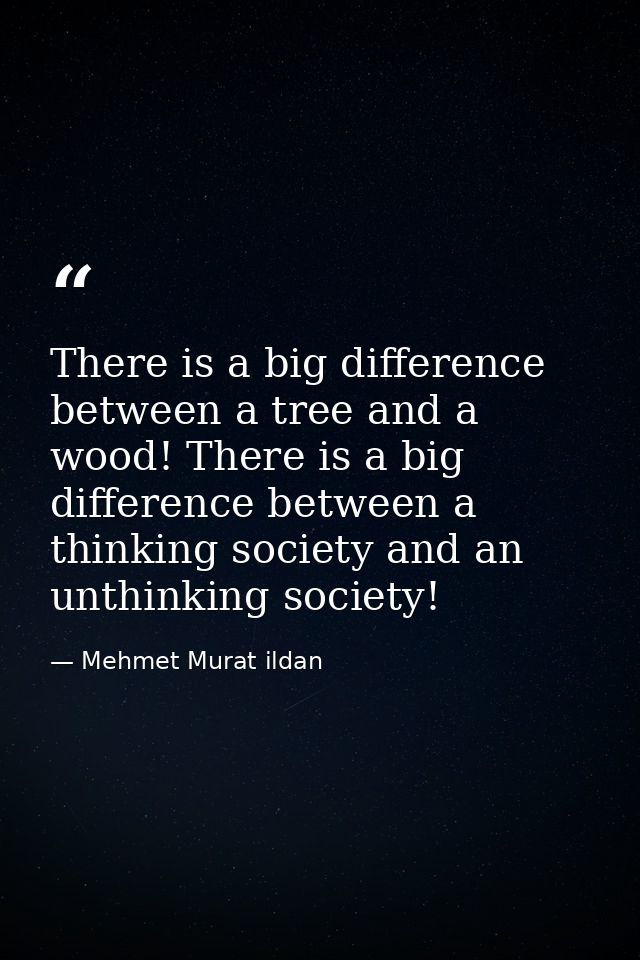 There is a big difference between a tree and a wood! There is a big difference between a thinking society and an unthink — Mehmet Murat ildan