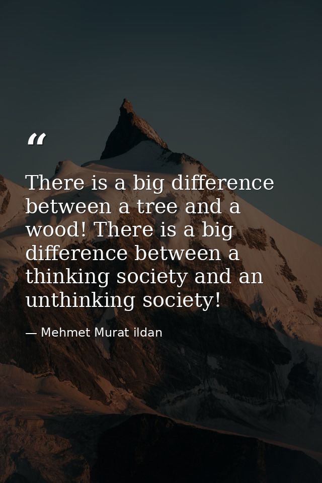 There is a big difference between a tree and a wood! There is a big difference between a thinking society and an unthink — Mehmet Murat ildan