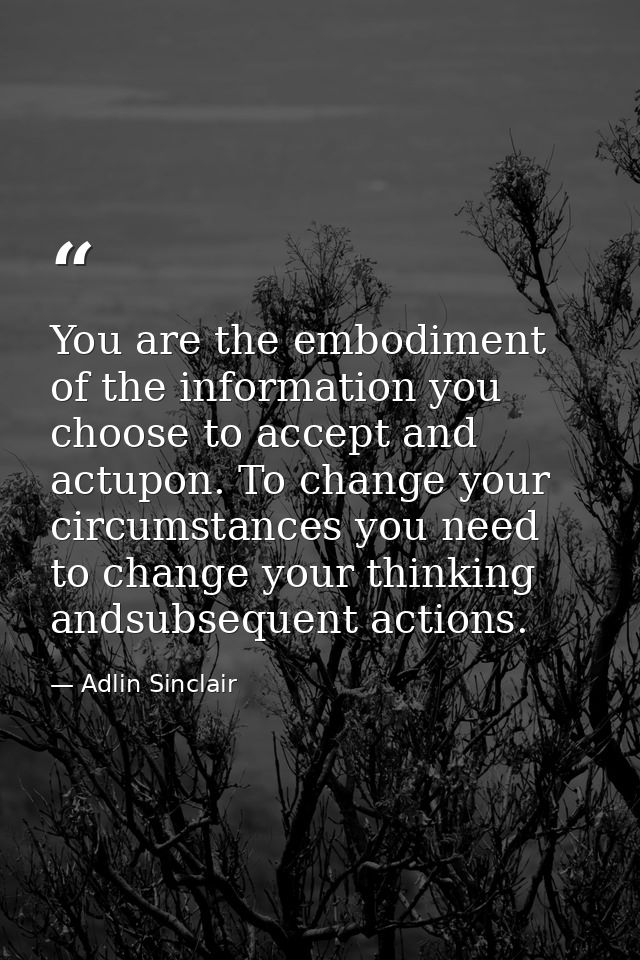 You are the embodiment of the information you choose to accept and actupon. To change your circumstances you need to cha — Adlin Sinclair
